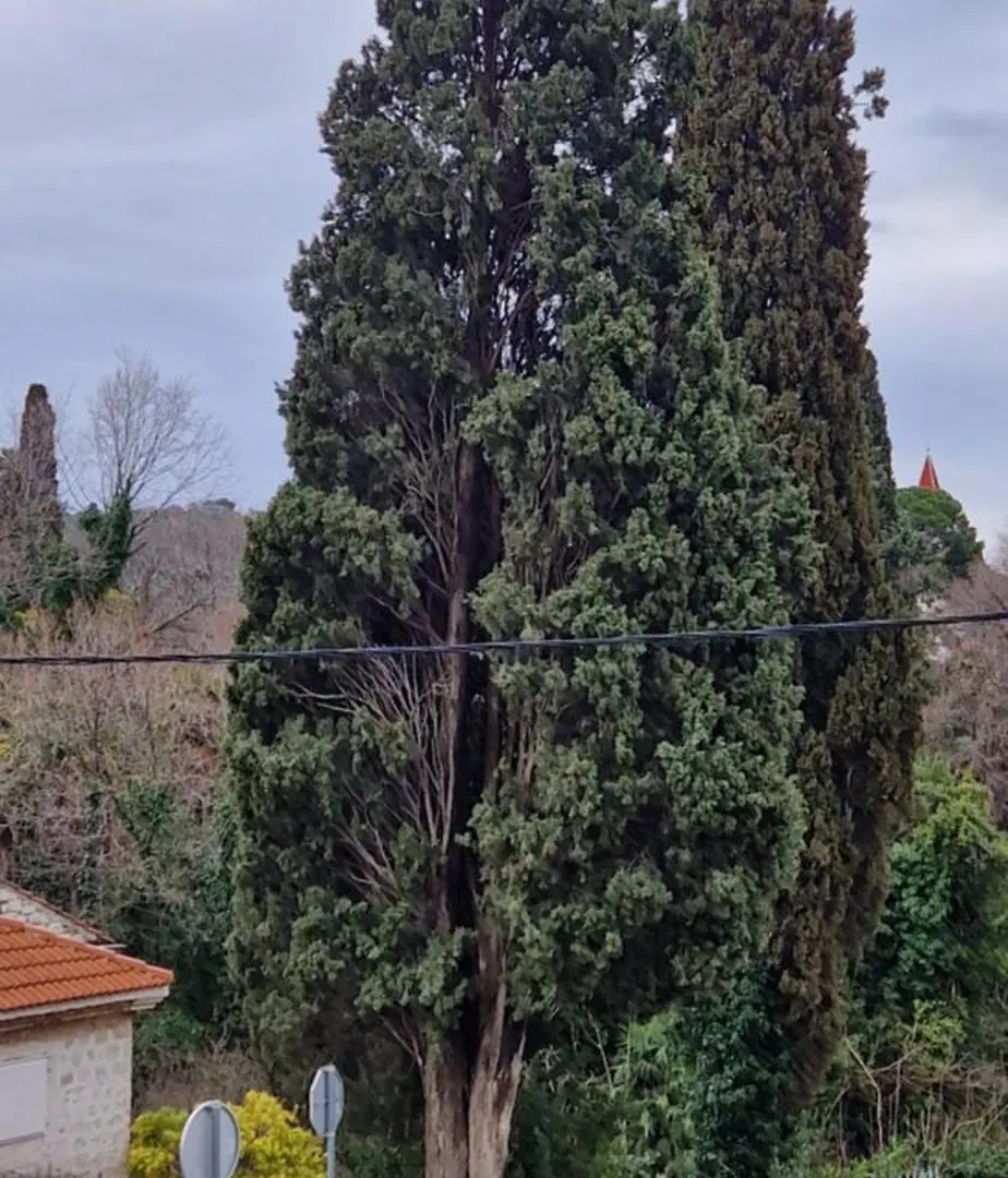Studio Apartment With Jacuzzi Trogir 0*,  Croatia
